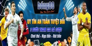 hoa hồng bong88